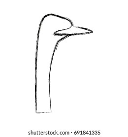 head ostrich birds of savannah african fauna wildlife