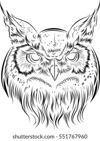 Head owl 