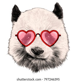 head Panda with glasses in heart shape sketch vector graphics color picture