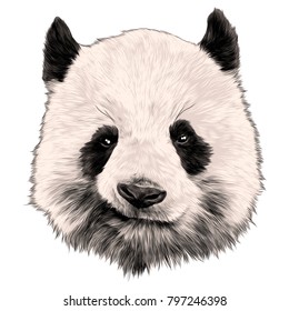 80,272 Panda design Images, Stock Photos & Vectors | Shutterstock