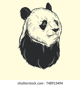 Head panda hand draw