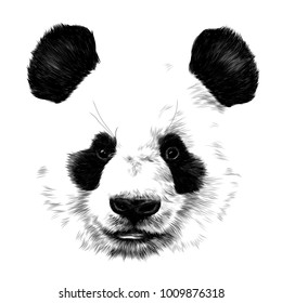 head Panda no outline in space sketch vector graphics monochrome drawing