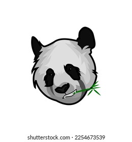head panda vector face illustration 