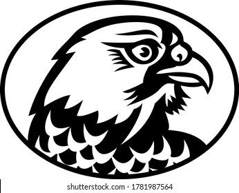 Head Of Peregrine Falcon Or The Duck Hawk Side Mascot Black And White