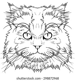 The head of the Persian cat graphics