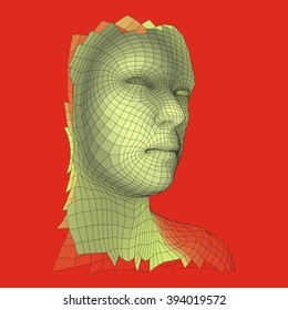 Kopf der Person aus einem 3D-Gitter. Human Head Wire Model. Menschlicher Polygonkopf. Gesichtsscannen. Sicht auf den menschlichen Kopf. 3D Geometrisches Gesichtsdesign. 3d Polygonal Covering Skin. Geometry Polygon Man Portrait.