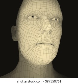 Head of the Person from a 3d Grid. Human Head Wire Model. Human Polygon Head. Face Scanning. View of Human Head. 3D Geometric Face Design. 3d Polygonal Covering Skin. Geometry Polygon Man Portrait.