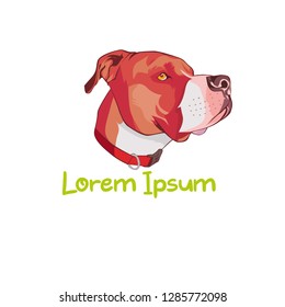 head pets Dog vector illustration realistic.-illustration