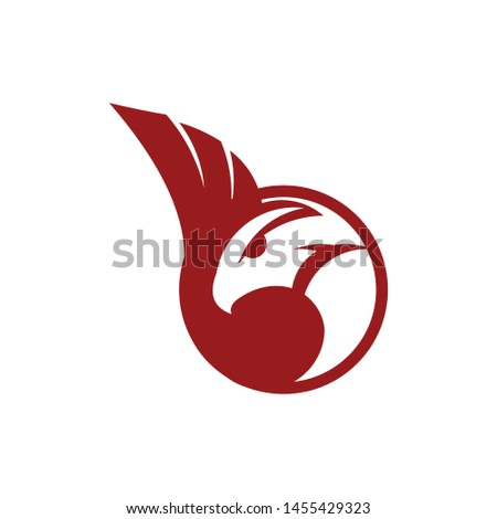 head of phoenix logo template