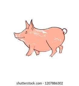 The head of a pig is drawn by hand in ink. Isolated black silhouette pig, painted pink grunge on white background. Vector illustration