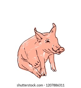 The head of a pig is drawn by hand in ink. Isolated black silhouette pig, painted pink grunge on white background. Vector illustration