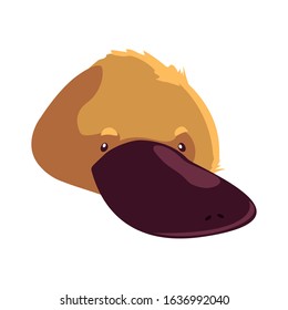 Head of platypus on white background. vector illustration design.