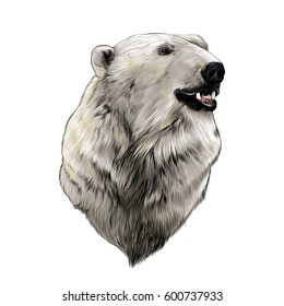 1,335 Bear portrait realistic Images, Stock Photos & Vectors | Shutterstock