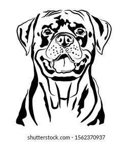 Head portrait contour outline, sketch of German Rottweiler silhouette vector illustration