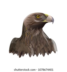 Cartoon Golden Eagle Photos 552 Cartoon Golden Stock Image