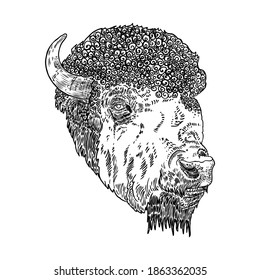 Headporträt von Indianerbison. Buffalo-Handzeichnung. Bull Gesicht, spirituelles Symbol und Stammestier. Symbol der Kraft und Stärke. Reise- und Abenteuervektor. 