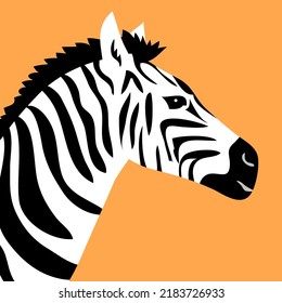 Head portrait of a striped zebra. Herbivorous hoofed mammal. African wild animal. Fauna and zoology. cartoon vector illustration isolated on orange background