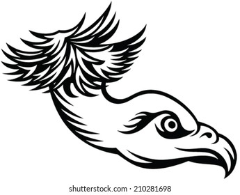head of predatory bird