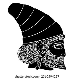 Head in profile of ancient Persian man from Persepolis. Male portrait of a bearded Achaemenid hero from Iran. Black and white negative silhouette.