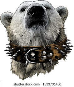 the head of a proud bear looking confidently forward in a leather collar with metal spikes and an earring in the nose, sketch vector graphics color illustration on a white background