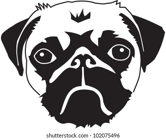 head of a pug - vector