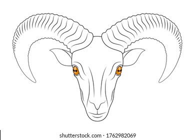Head of ram with big horns, black and white linear drawing with colored eyes over white background