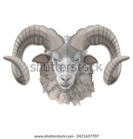 Head of a ram with curly horns front view. The face of a bighorn male sheep. Portrait of a farm animal close up. Vector illustration isolated on a white background