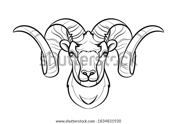 Head Ram Line Drawing Black White Stock Vector (Royalty Free) 1834831930