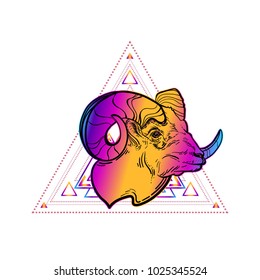 The head of a RAM, sheep. Vector illustration, isolated. Aries constellation, zodiac sign, astrology. Wild animal. Tattoo. Horoscope. Drawing coloring.  Stubborn character. Symbol. Art. Print.