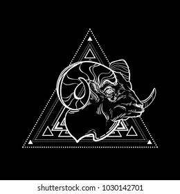 The head of a RAM, sheep. Vector illustration, isolated. Aries constellation, zodiac sign, astrology. Wild animal. Tattoo. Horoscope. Drawing coloring.  Stubborn character. Print. The symbol of fire. 