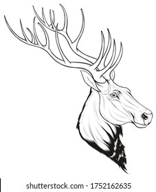 Head of a red deer with long antlers. Linear vector illustration for safari, wildlife tourism and element for new year’s design.