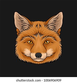 Head of red fox, face of wild animal hand drawn vector Illustration