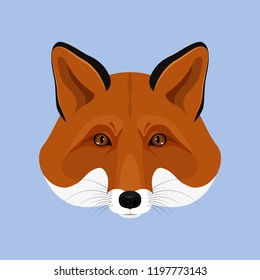 Head of a red fox on a blue background, animal, predator, forest animal. Flat design. Vector illustration.