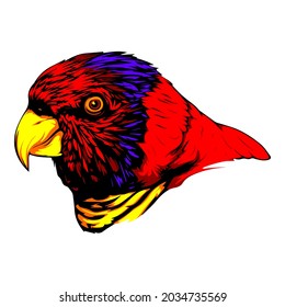 Head of Red Loriinae Parrot Bird Vector Isolated on White Background