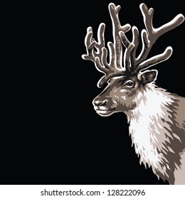 Head of reindeer. 5 colors, black background. [Rangifer tarandus]