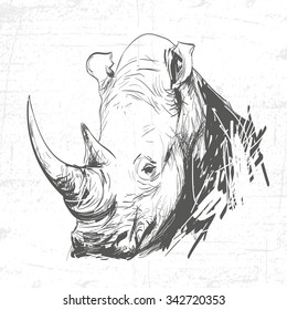 Head rhino in the art of engraving. See also other animals.