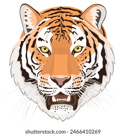 The head of a roaring Amur tiger on a white background. An endangered animal