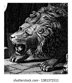 Kopf der Roaring Lion aus einer Gravur eines Engels, der den Mund der Löwen abschottet, als Daniel in die Löwen-Höhle geworfen wurde, in Vintage-Linie Zeichnung oder Gravitation Illustration.