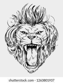 Head of roaring  lion. Hand drawn illustration converted to vector