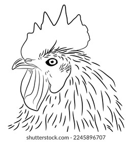 Head of a rooster. Animal design. Black and white linear silhouette.