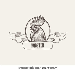 Head of rooster or cock inside round frame decorated with ribbon hand drawn in vintage engraving or woodcut style. Domestic fowl, poultry farm bird. Vector illustration for label, advertisement