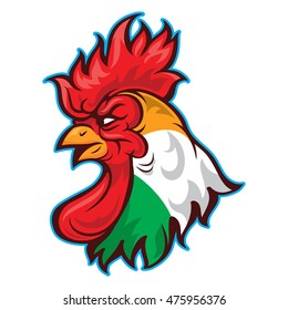 Head rooster mascot team, logo with the flag of Ireland, symbol of troops and identity of a community.
Vector Inspiration Isolated on White Background