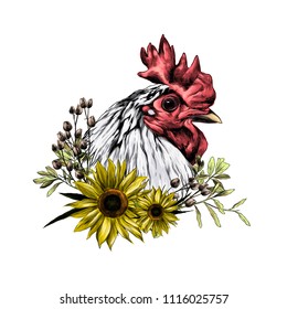 head of the rooster in profile with wreath in the form of a frame of sunflower leaves and dry grass from below, sketch vector graphics color illustration