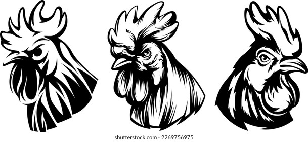 Head of rooster set. Cock abstract character illustration. Graphic logo designs template for emblem. Image of portrait for company use.