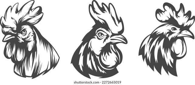 Head of rooster set. Cock abstract character illustration. Graphic logo designs template for emblem. Image of portrait for company use.
