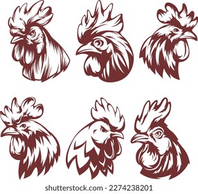 Head of rooster set. Cock abstract character illustration. Graphic logo designs template for emblem. Image of portrait for company use.