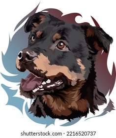 Head of a Rottweiler dog. Vector illustration. Portrait on a colored background