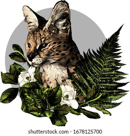 the head of a Serval cat looks away round composition of flowers and leaves of a Magnolia and a branch of a fern, sketch vector graphics color illustration on a white background
