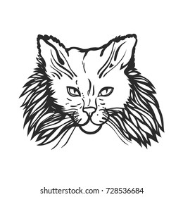 The head of a shaggy cat. Contour, sketch. Vector illustration.