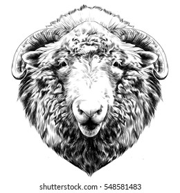 The Head Of A Sheep Hanging Face Front Black And White Sketch Vector